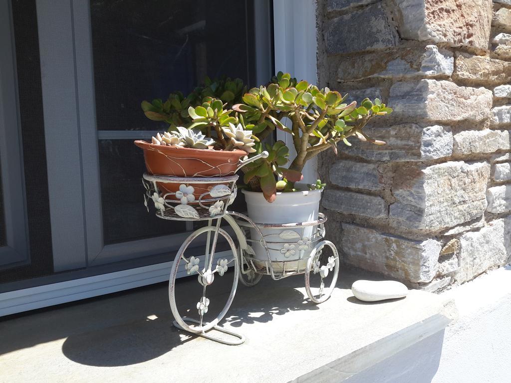 Tinos Peristerionas Apartment Екстериор снимка