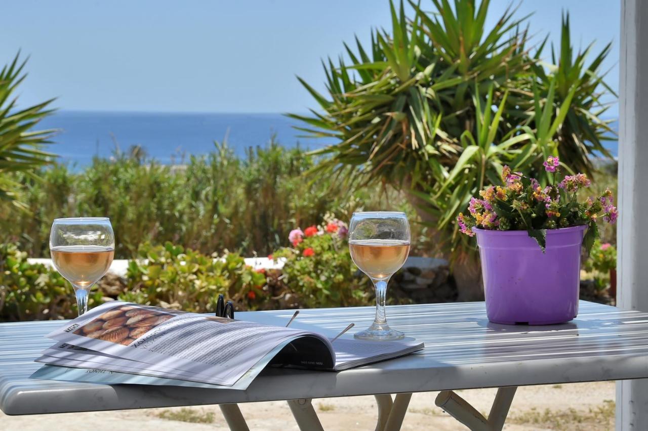 Tinos Peristerionas Apartment Екстериор снимка
